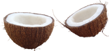 Coconut Moisturizing Conditioner 12 oz
